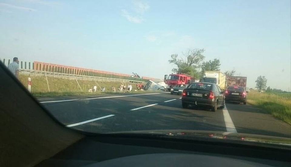 В Польше разбился туристический автобус: два человека погибли Фото: pomorska.pl