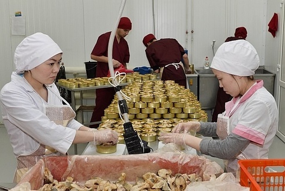 В 2018 году «Орион» запустил в Салехарде выпуск консервной продукции Фото: правительство ЯНАО