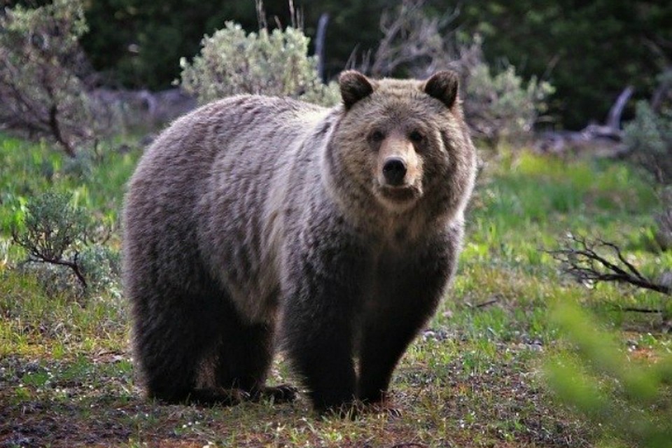 Фото: mpr.omskportal.ru