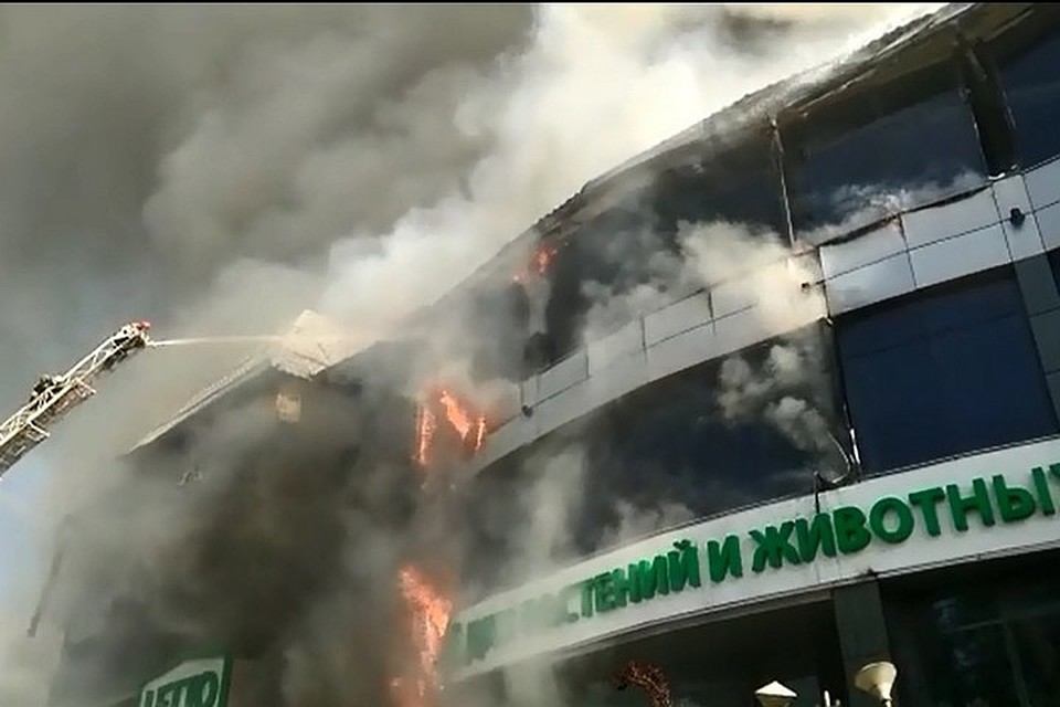 Фото: ГУ МЧС по Краснодарскому краю