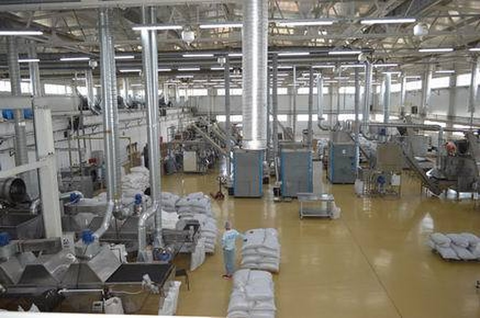 В Ростовской области открыли завод по производству снеков. Фото: правительство региона.