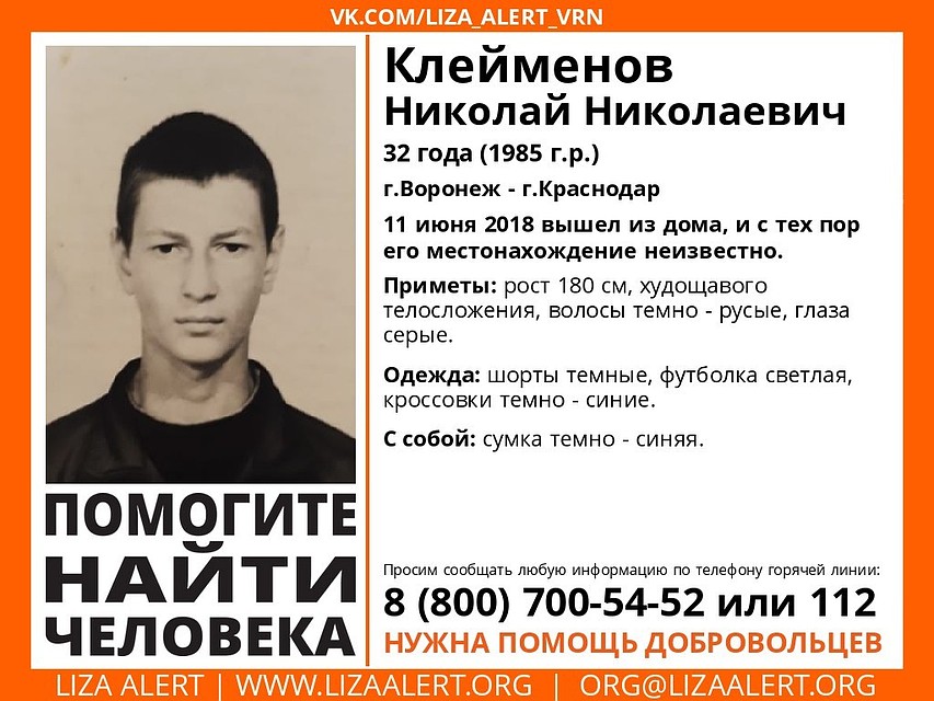 Фото: из группы поискового отряда «Лиза Алерт Воронеж».