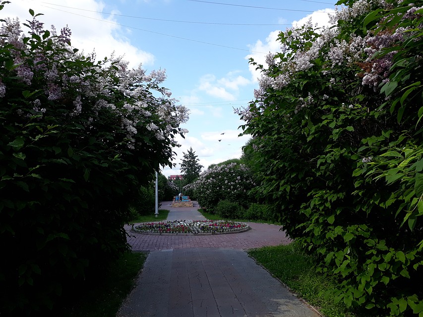 В течение дня пасмурно и не жарко