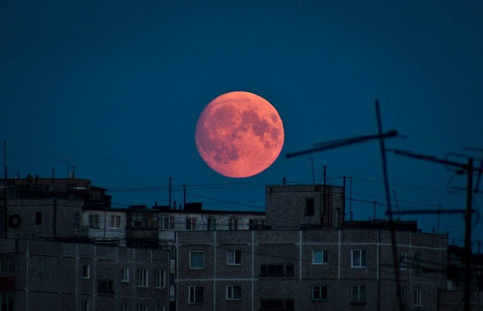 Фото: 1tulatv.ru