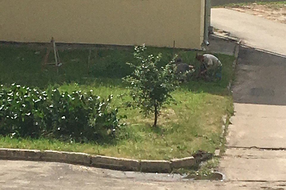 «Огород» в нижегородском кремле ликвидировали после публикации в СМИ