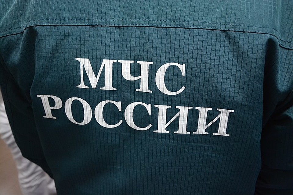 В МЧС рассказали, как пережить жару.