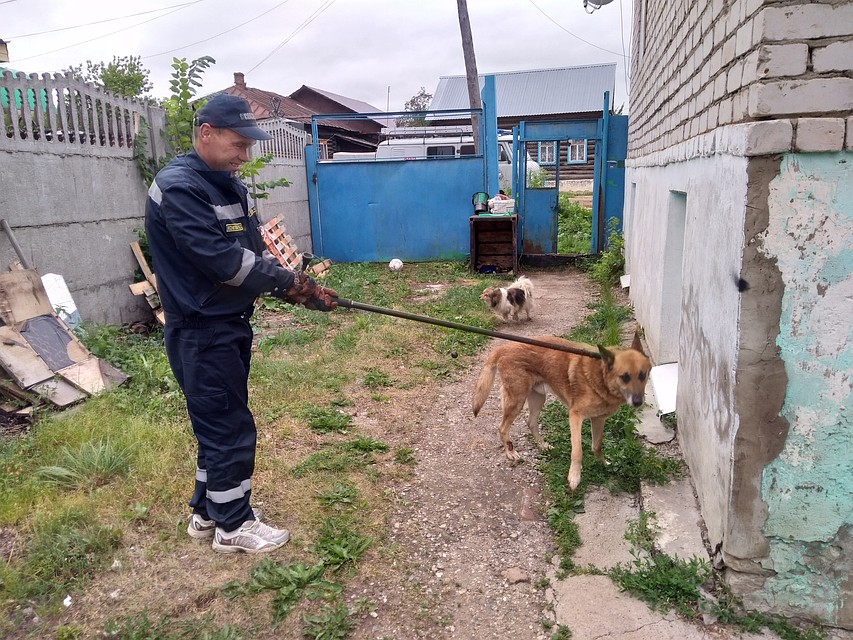 фото: Кунгурская городская служба спасения