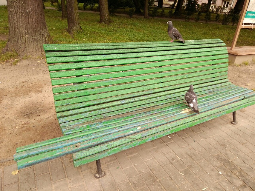 Фото: Подслушано Великие Луки.