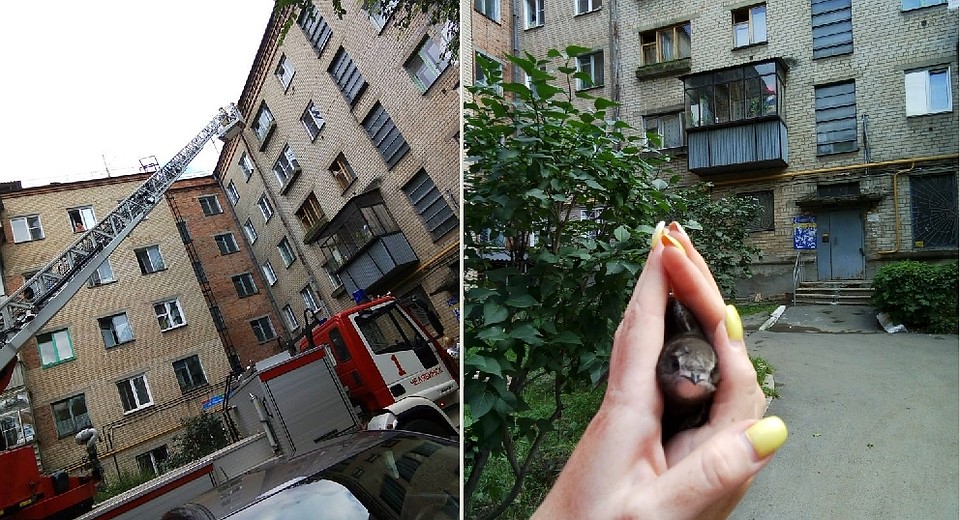 Фото: Наталья Рубинская социальные сети
