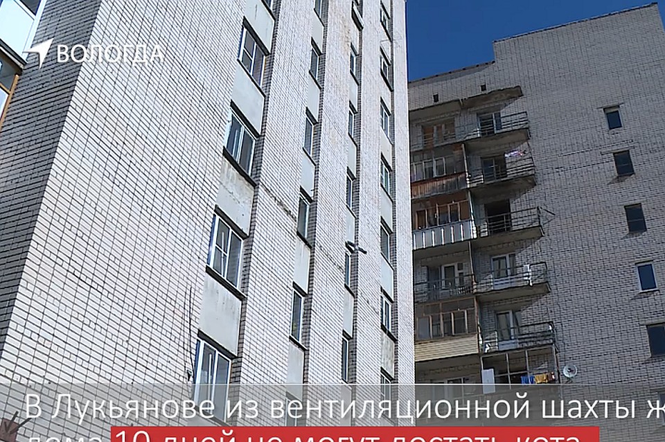 ЧП случилось в многоэтажке в Лукьяново. Стоп-кадр ТК "Русский Север"