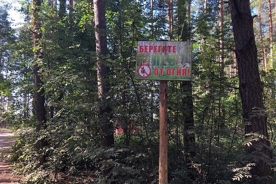 В Ярославской области вводится особый противопожарный режим.