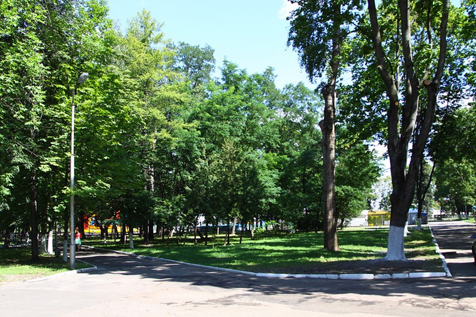 Фото: пресс-служба Брянской городской администрации.