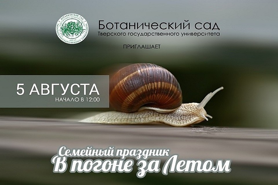Все - на праздник!