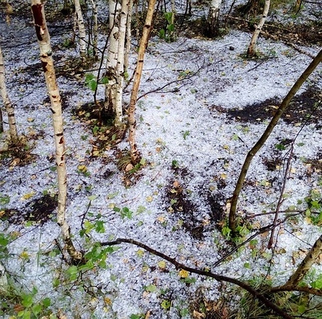 Лето на несколько минут сменилось зимой