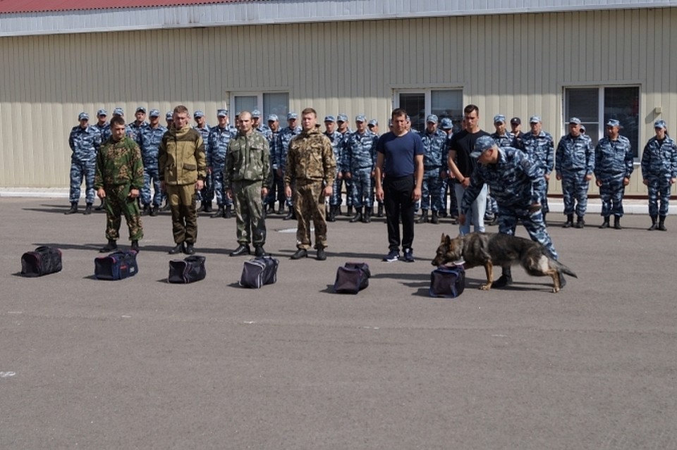 За 7 месяцев этого года собаки помогли раскрыть более 600 преступлений