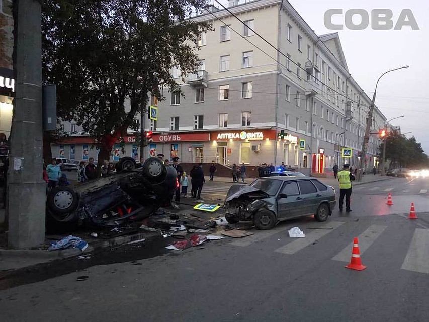 Фото: служба спасения "Сова"