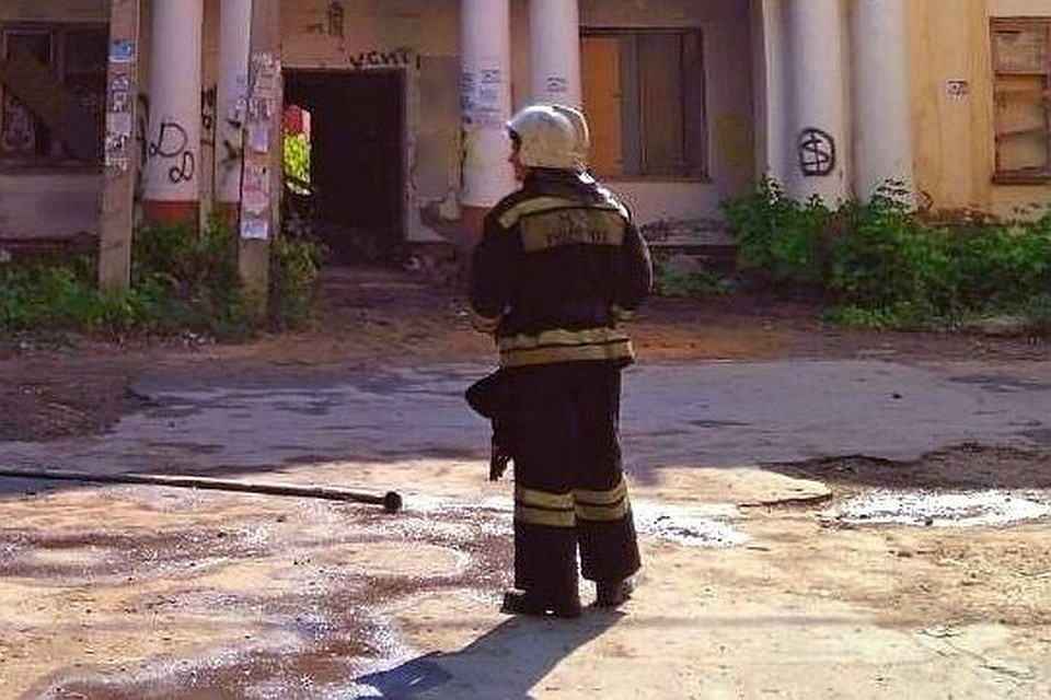 В пожарах никто из людей не пострадал