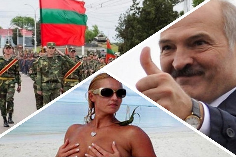 Какая цитата вам пришлась по душе?