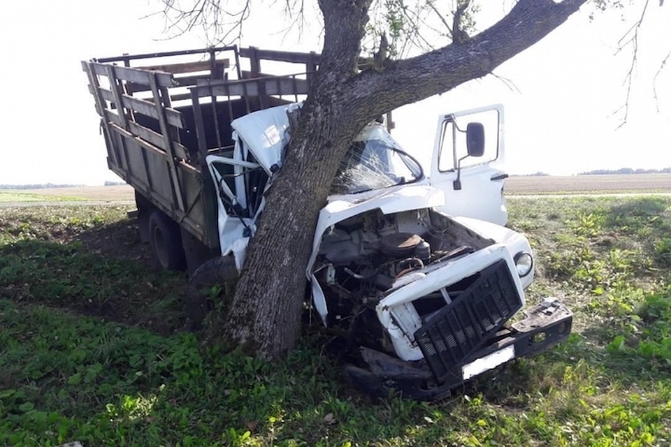 Грузовик, перевозивший свиней, попал в ДТП Фото УГАИ УВД Гродненского облисполкома