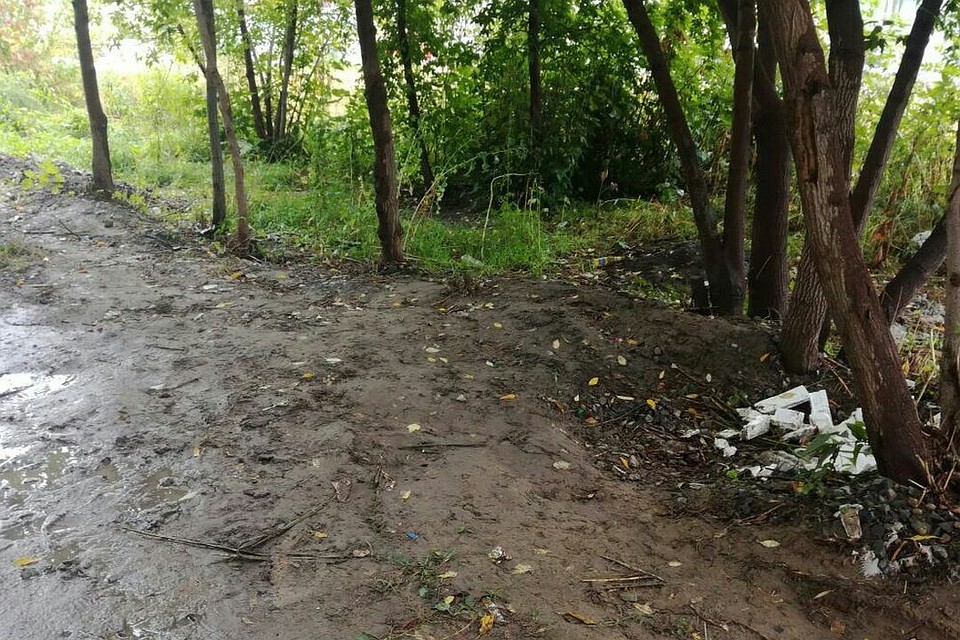Место, где произошло нападение.