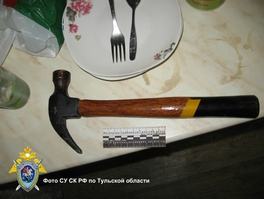 Фото: СУ СКР по Тульской области