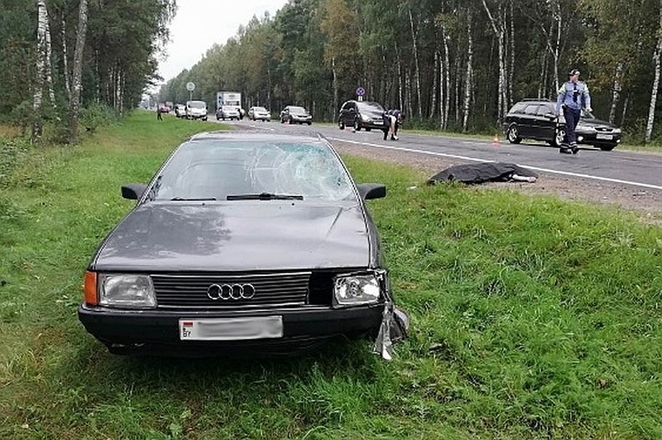 Задержан водитель, сбивший насмерть велосипедиста в Молодечненском районе. Фото: ГАИ
