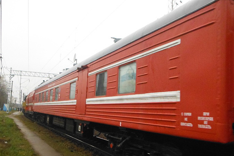В СК начали проверку