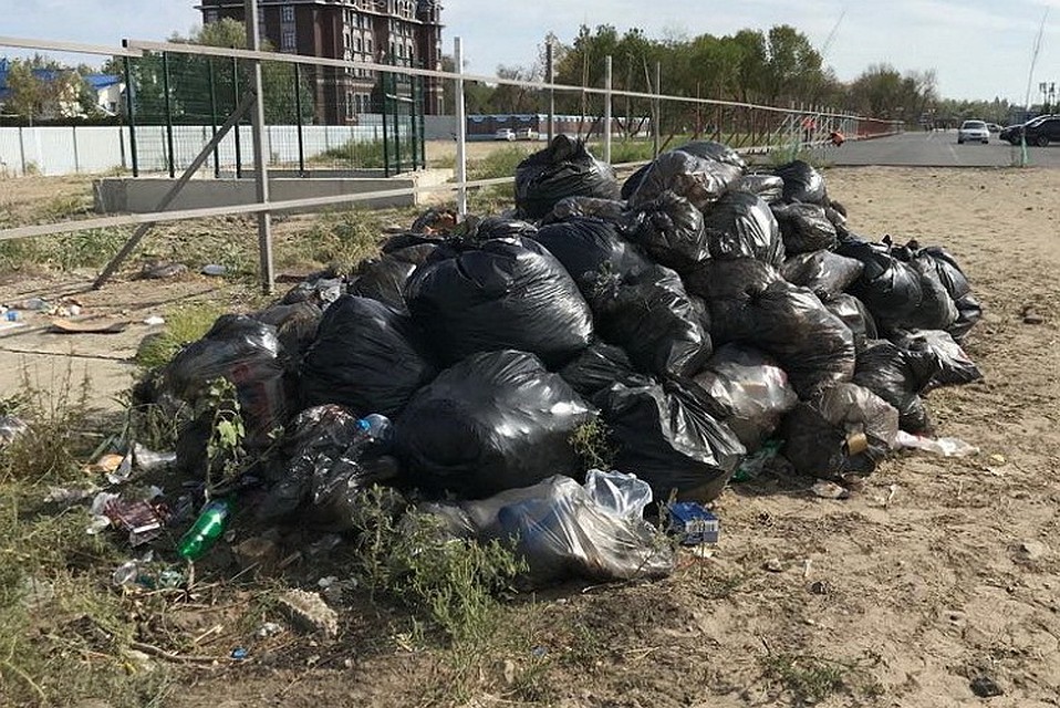 На территории парка скопилось порядочное количество мусора.
