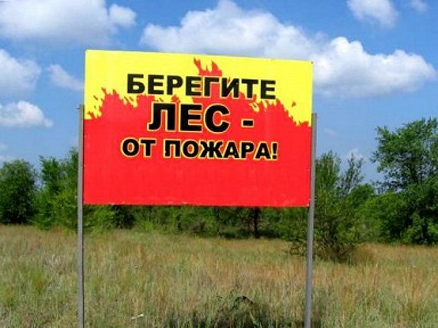 Фото: пресс-служба администрации Тамбовской области