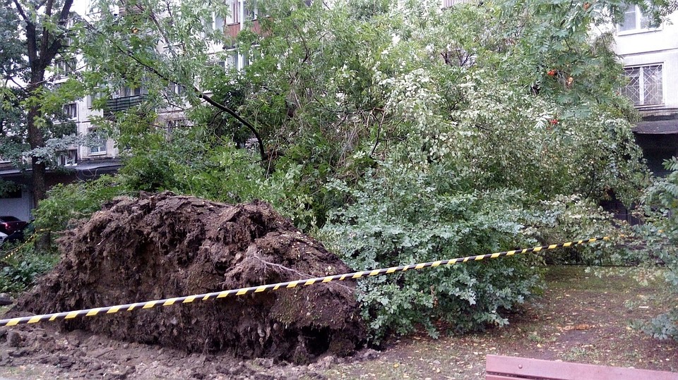 Так было в ночь на 21 августа. Фото: "ДТП и ЧП | Санкт-Петербург" ВКонтакте