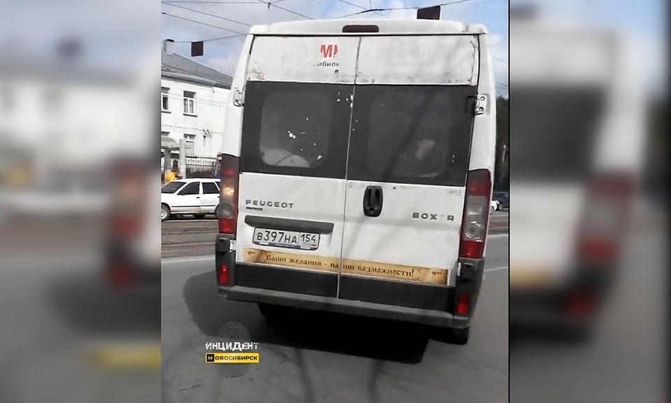 В новосибирской маршрутке под сиденьями выросли настоящие грибы. Фото: "Инцидент. Новосибирск".