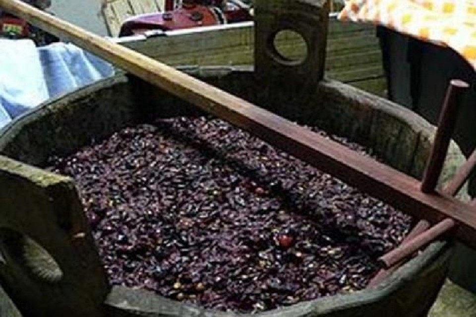 Пенсионерка едва не стала жертвой бродившего вина (Фото: dse.md).