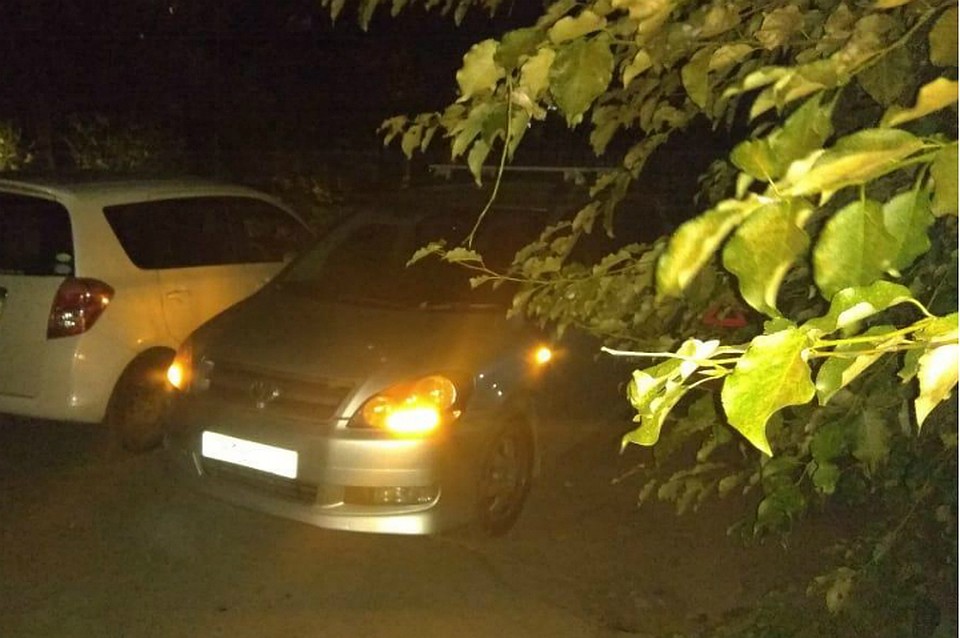 В дорожной аварии в Хабаровске пострадал восьмилетний ребенок ФОТО: Отделении пропаганды ОГИБДД Хабаровска