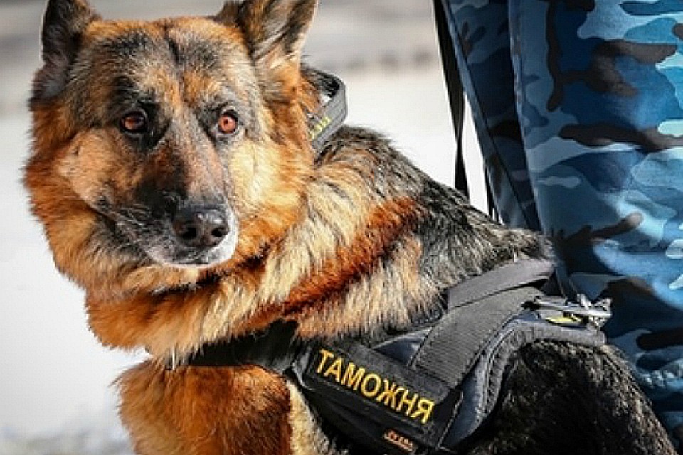 Фото: Южной транспортной прокуратуры.