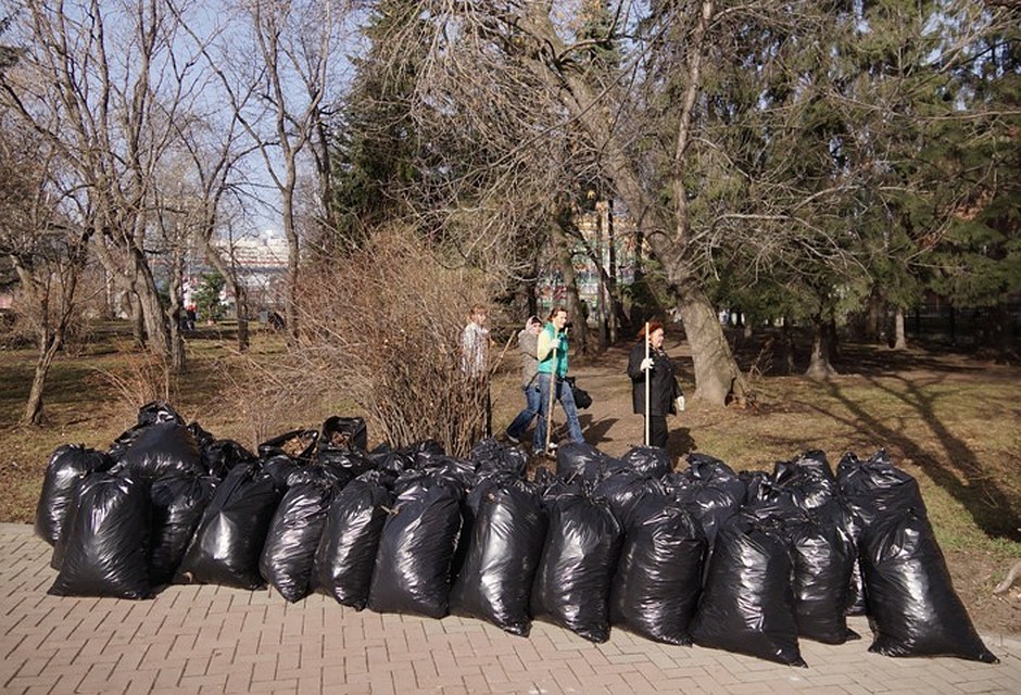 Прибрать парки планируют до конца этого года