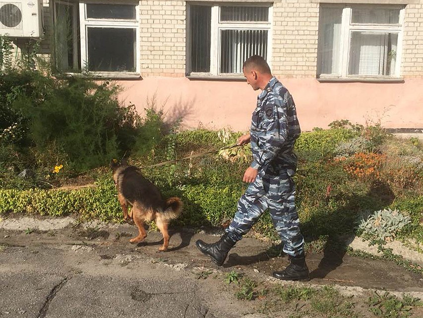 фото: с сайта УМВД России по Белгородской области.