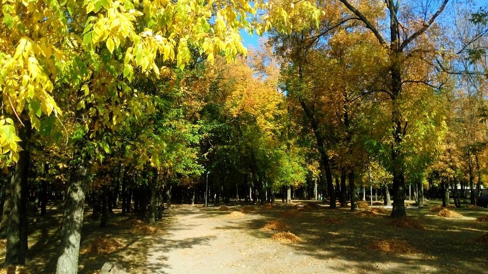 1 октября в Белгороде ожидаются заморозки.