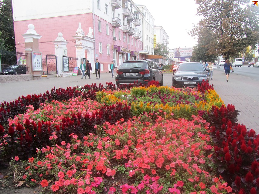 Курянам предлагают внести свою лепту в решение экологических проблем