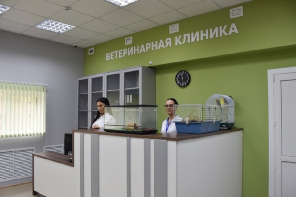 Клиника оснащена новым медицинским оборудованием