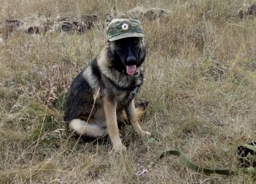 Брайна за час нашла воришку