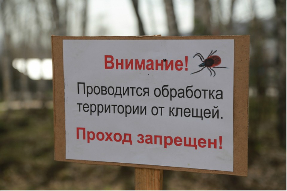 Свыше 2 617 га земли обработали специальными средствами защиты
