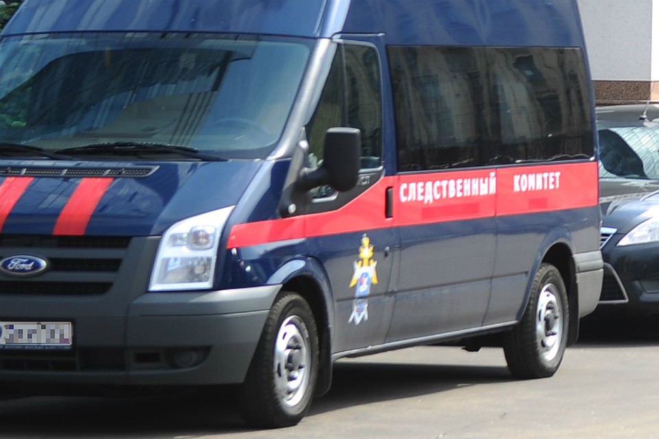Следственый комитет проверит полицейских, нанесших травмы многодетной матери