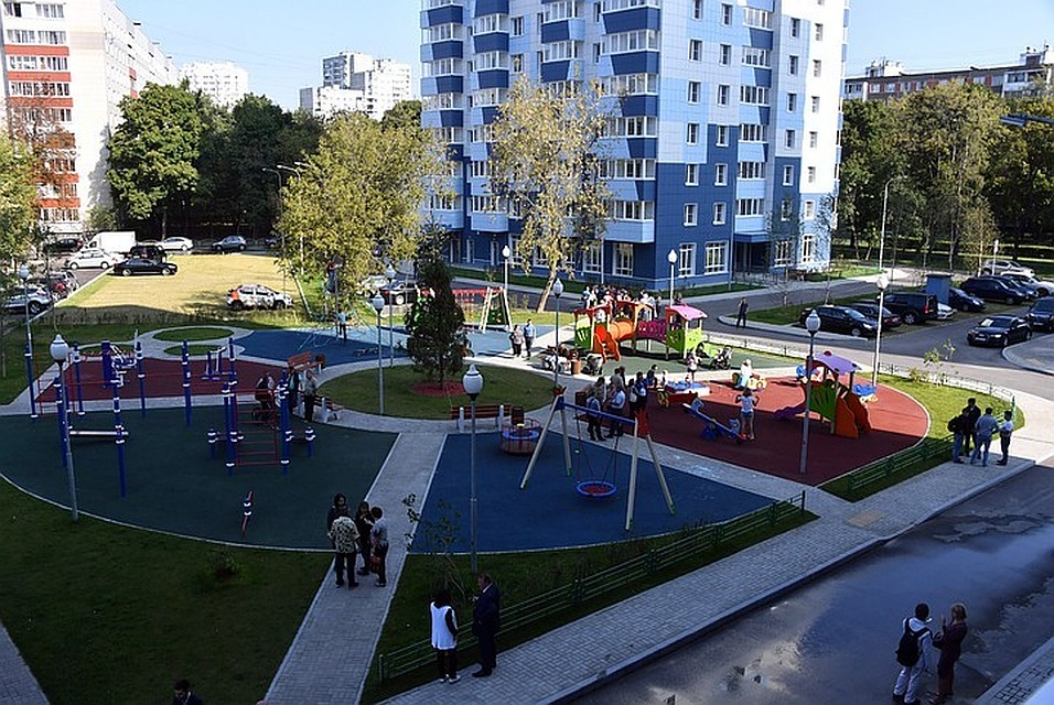 Вырубку возрастных деревьев компенсируют молодыми.