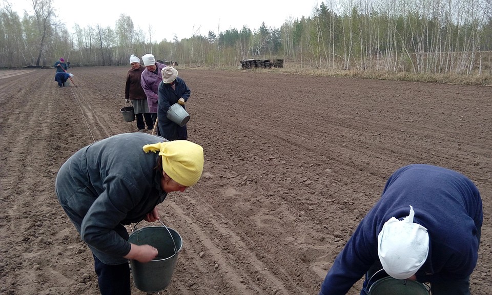 фото с сайта Управления лесного хозяйства области