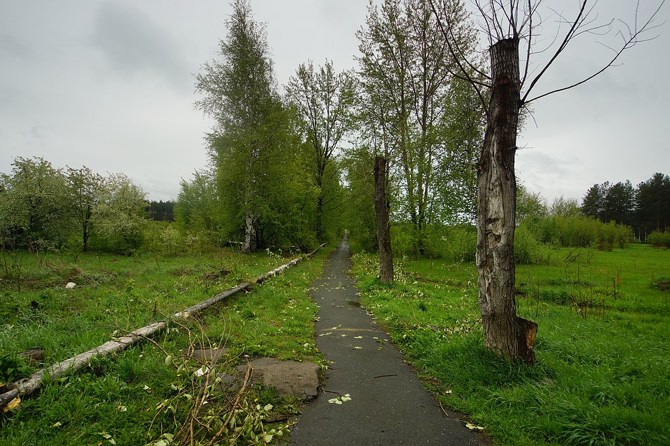 Непогода продержится 11 и 12 октября