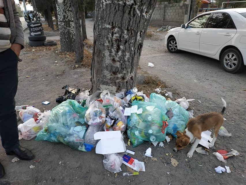 Нарушитель - аптека ЧП Усупбаева, расположенная на ул. Ахунбаева, 24 а.