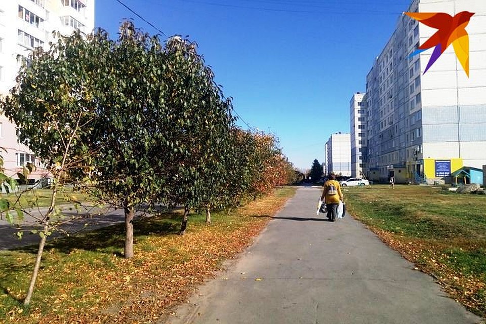 На следующей неделе погода в Барнауле уйдет в минус
