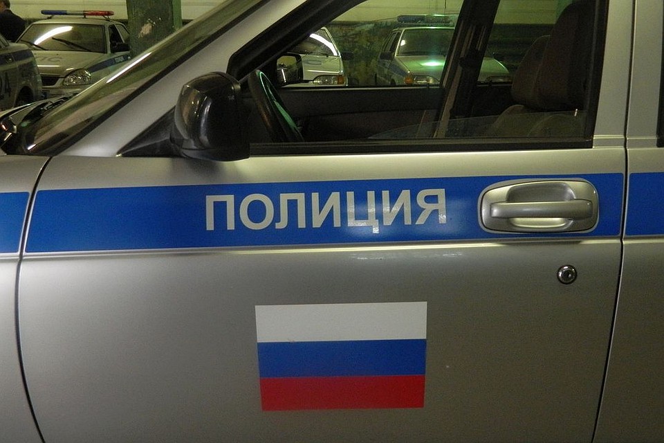 Причины трагедии выясняет полиция.