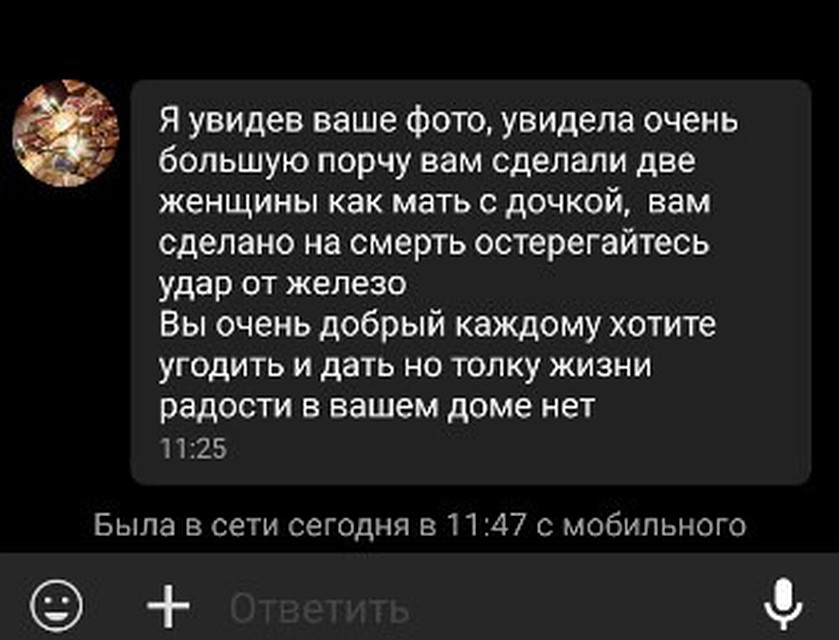 Фото: скрин из переписки, vk.com/chel4m3