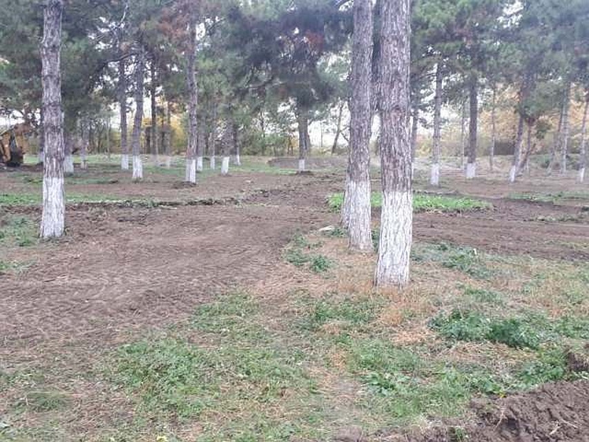 В Крымском районе будет новый парк